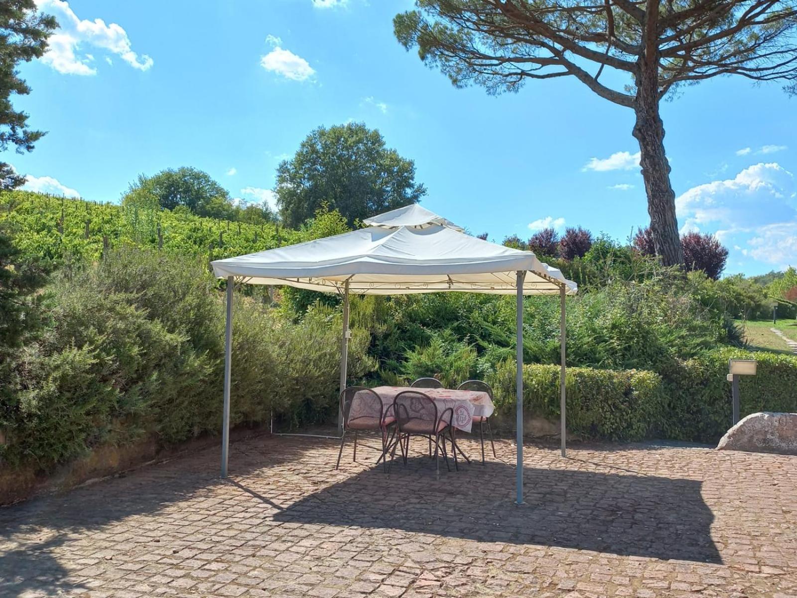 Agriturismo Buon Riposo - Country Resort In The Heart Of Tuscany San Giovanni a Corazzano ภายนอก รูปภาพ