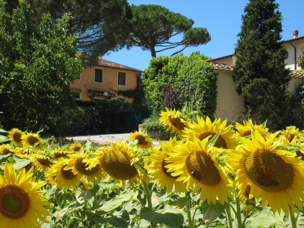 Agriturismo Buon Riposo - Country Resort In The Heart Of Tuscany San Giovanni a Corazzano ภายนอก รูปภาพ